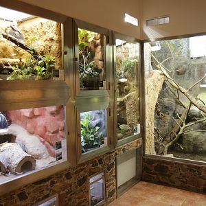 Giraffe Pavillon - new reptile settings