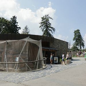 African Pavillon