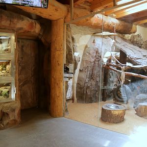 African Pavillon - Reptiles and honey badgers