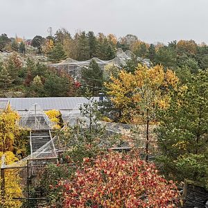 Helsinki zoo from the Top