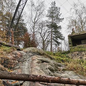 Bearded Vulture Aviary
