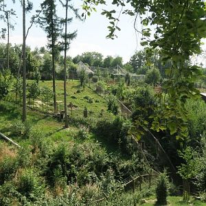 Black bears, leopards and Japanese macaque enclosure