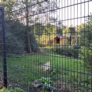 Indian sarus crane enclosure