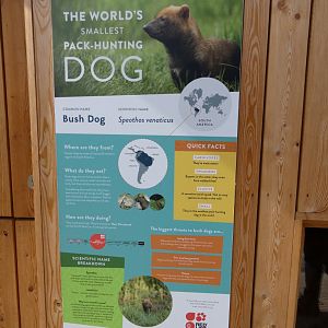 Bush dog signage