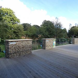 Bush dog viewing area
