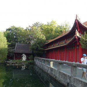 Waterfowl Pond, China - Sep. 2021