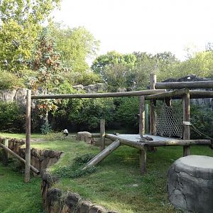 Outdoor Panda Habitat, China - Sep. 2021