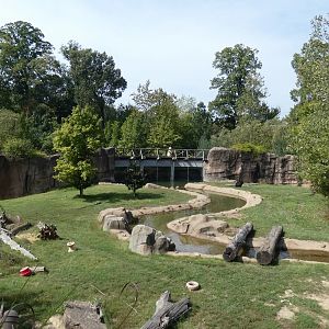 Grizzly/American Black Bear Exhibit, Teton Trek - Sep. 2021