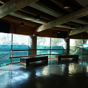 Underwater Polar Bear Viewing, Northwest Passage - Sep. 2021