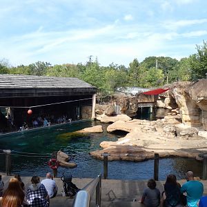 Sea Lion Exhibit/Presentation Area, Northwest Passage - Sep. 2021