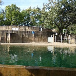 African Elephant Yard, African Veldt - Sep. 2021