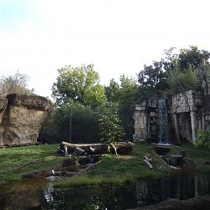 Sumatran/Bengal Tiger Exhibit, Cat Country - Sep. 2021