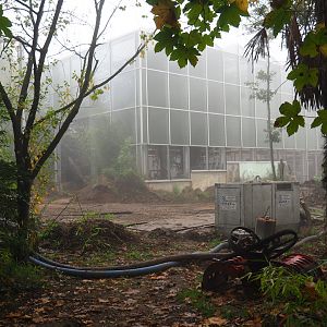 Orangutan project construction site in and around the Asian greenhouse, 2021-10-10