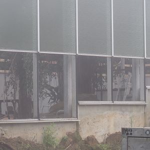 Orangutan project construction site in and around the Asian greenhouse, 2021-10-10