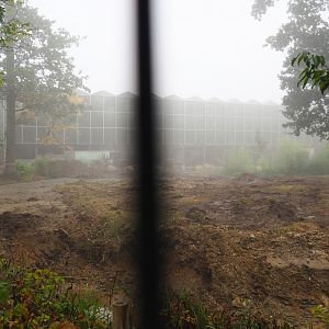Orangutan project construction site in and around the Asian greenhouse, 2021-10-10