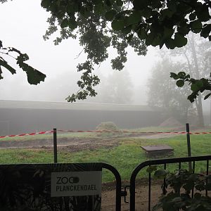 Antelope area renovation - Former Addax/Oryx/Wildebeest paddock with removed fencing and ground work, 2021-10-10