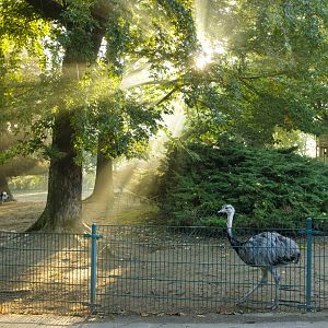 South American enclosure at Mönchengladbach