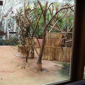 Empty exhibit in the koala house, with straw/branch mats and wooden shelter, 2021-10-10