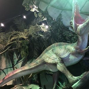 Inside Evolution Restaurant at Yorkshire Wildlife Park (October 2021)