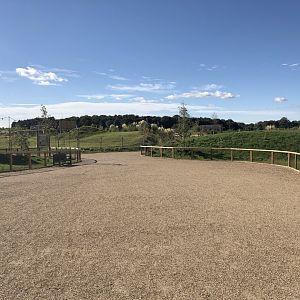 Immediate View Upon Entry at Yorkshire Wildlife Park (October 2021)