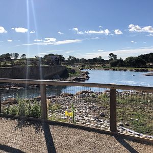 California Sea Lion Enclosure at Yorkshire Wildlife Park (October 2021)