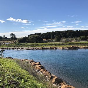 California Sea Lion Enclosure at Yorkshire Wildlife Park (October 2021)
