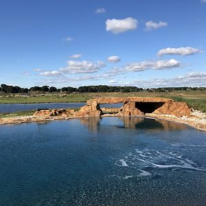 California Sea Lion Enclosure at Yorkshire Wildlife Park (October 2021)