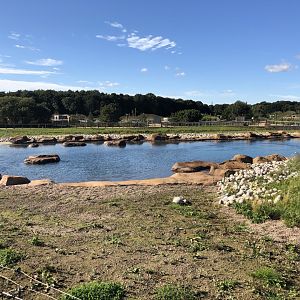 California Sea Lion Enclosure at Yorkshire Wildlife Park (October 2021)