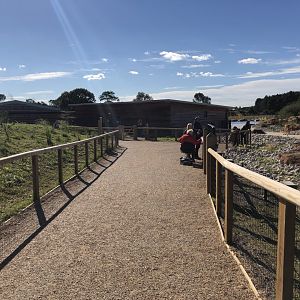 View Towards Sea Lion Housing at Yorkshire Wildlife Park (October 2021)