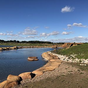 California Sea Lion Enclosure at Yorkshire Wildlife Park (October 2021)
