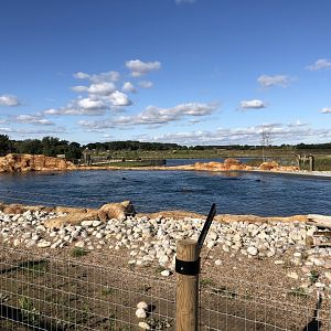 California Sea Lion Enclosure at Yorkshire Wildlife Park (October 2021)