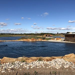 California Sea Lion Enclosure at Yorkshire Wildlife Park (October 2021)