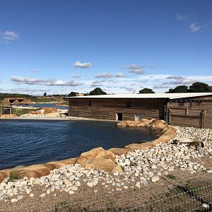 California Sea Lion Enclosure at Yorkshire Wildlife Park (October 2021)
