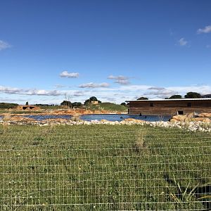 California Sea Lion Enclosure at Yorkshire Wildlife Park (October 2021)