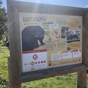 Binturong Signage at Yorkshire Wildlife Park (October 2021)