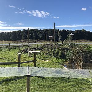 Binturong/Smooth-Coated Otter Enclosure at Yorkshire Wildlife Park (October 2021)