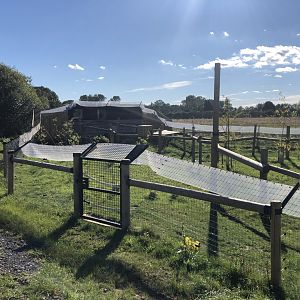 Binturong/Smooth-Coated Otter Enclosure at Yorkshire Wildlife Park (October 2021)