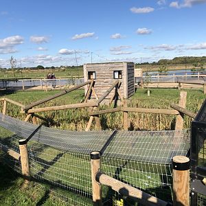 Red Panda Enclosure at Yorkshire Wildlife Park (October 2021)
