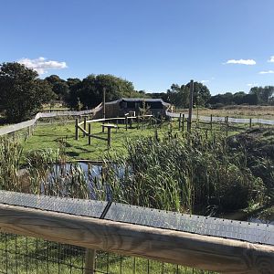 Binturong/Smooth-Coated Otter Enclosure at Yorkshire Wildlife Park (October 2021)