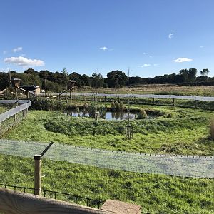 Binturong/Smooth-Coated Otter Enclosure at Yorkshire Wildlife Park (October 2021)