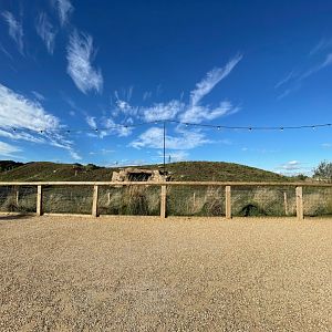 Spotted Hyena Enclosure at Yorkshire Wildlife Park (October 2021)