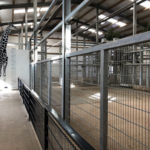 Giraffe House Interior at Yorkshire Wildlife Park (October 2021)