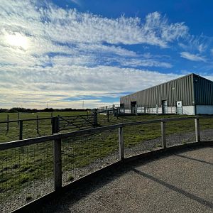 Camel Enclosure at Yorkshire Wildlife Park (October 2021)