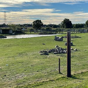 Polar Bear Enclosure at Yorkshire Wildlife Park (October 2021)