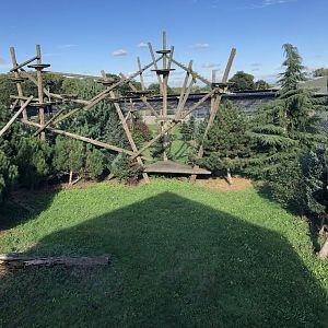Amur Leopard Enclosure at Yorkshire Wildlife Park (October 2021)