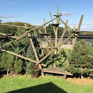 Amur Leopard Enclosure at Yorkshire Wildlife Park (October 2021)