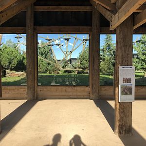 Amur Leopard Glass Viewing Area at Yorkshire Wildlife Park (October 2021)