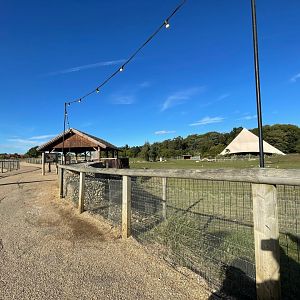 General View of the Mixed African Enclosure at Yorkshire Wildlife Park (October 2021)