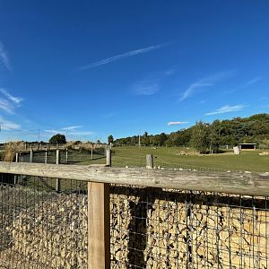 Mixed African Enclosure at Yorkshire Wildlife Park (October 2021)