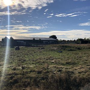 Eastern Black Rhino Enclosure at Yorkshire Wildlife Park (October 2021)